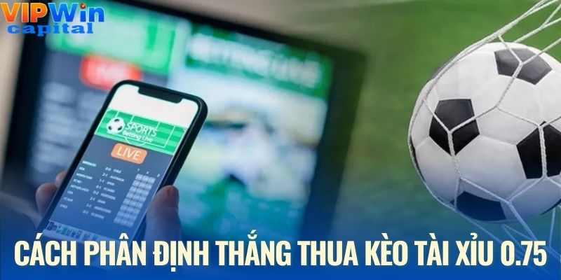 Hướng dẫn cách phân định thắng thua kèo tài xỉu 0.75