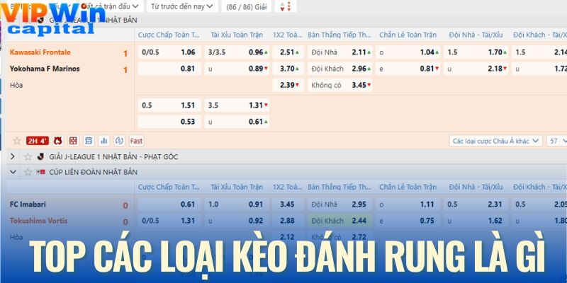 Top các loại kèo đánh rung là gì được áp dụng
