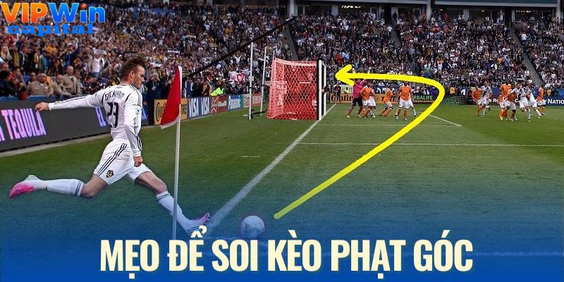Thủ thuật cho người chơi biết cách soi kèo phạt góc