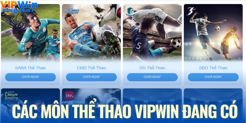 Những bộ môn thể thao nổi bật nhất sảnh