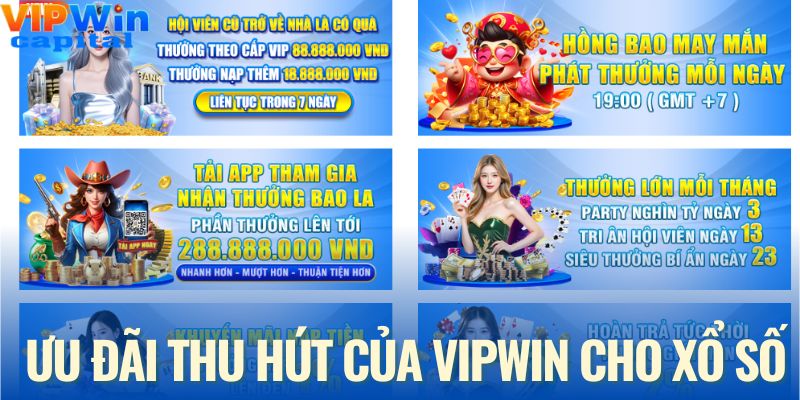 Một vài ưu đãi thu hút của thương hiệu, bạn không nên bỏ lỡ