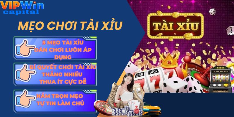 Mẹo chơi tài xỉu