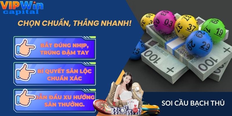 Soi cầu bạch thủ